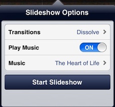 slideshow-options-dialog-box