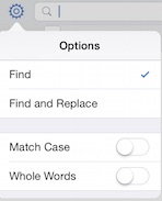 word for iPad search options