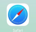 safari on ipad has phone icon