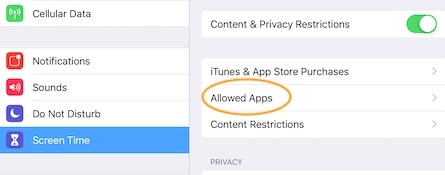 screen time content privacy restrictions allowed apps