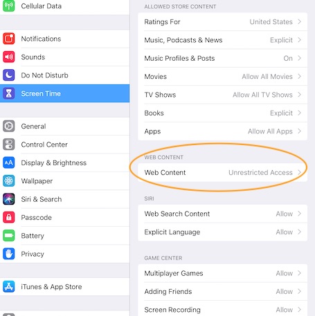 ipad screen time content restrictions web content