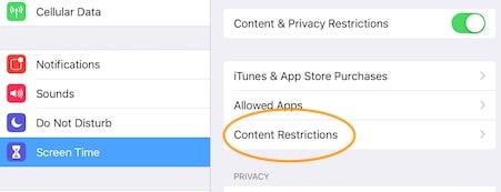ipad screen time content restrictions